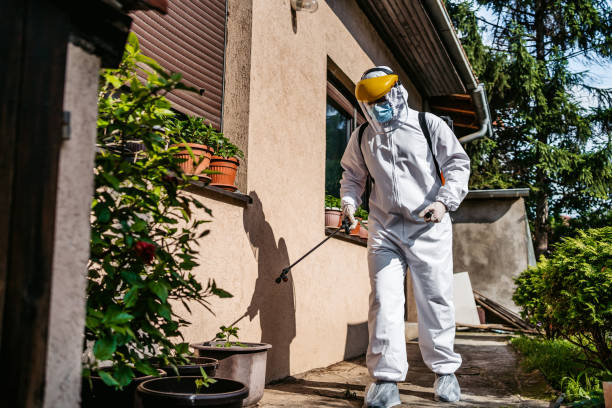 Best Ant Control Services  in Wautoma, WI