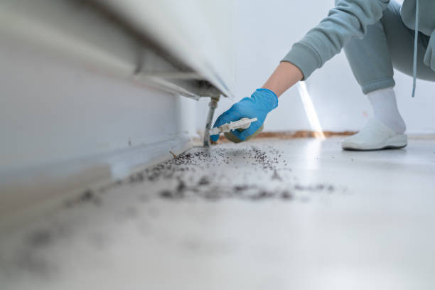 Best Termite Control Services  in Wautoma, WI